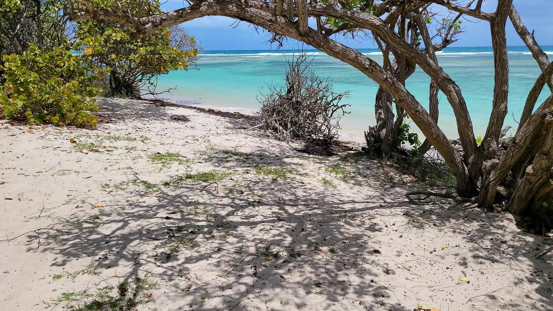 Only4View - Rooftop & Spa Sainte-Anne 0*, Sainte-Anne (Grande-Terre) Guadeloupe
